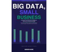 BIG DATA, SMALL BUSINESS: Enterprise-Level Business Intelligence Without the Enterprise Budget (THE BUSINESS INTELLIGENCE LEADERSHIP SERIES)