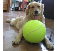 Big Dog Tennis Ball 9.5 inches.