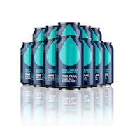 Big Drop Pine Trail Pale Ale'British Alcohol-Free Pale Ale 330ml Cans - 0.0% ABV (12 Pack)