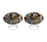 Big Eyed Monkey Cabinet Knobs, 2-Pack Silver Stainless Steel Drawer Pulls with Screws, Elegant Hardware for Dressers, Kitchen,Cabinets & Desks