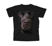Big Face Animal Labrador, Women's T-Shirt, Black, Medium