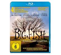 Big Fish - Der Zauber, der ein Leben zur Legende macht (Blu-ray) (Blu-ray)
