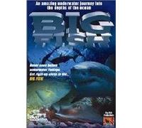 Big Fish (PAL) (REGION 0)