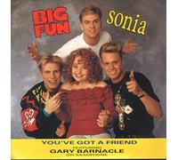 Big Fun and Sonia - Youve Got A Friend [7" Vinyl]