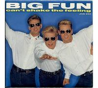 Big Fun - Can't Shake the Feeling