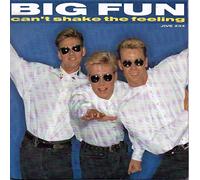 Big Fun - Can't Shake the Feeling / Don't Say It's Over [7" Vinyl]