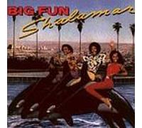 Big Fun [CASSETTE]