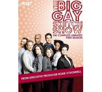 BIG GAY SKETCH SHOW: COMPLETE FIRST SEASON