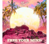 Big Gigantic : Free Your Mind VinylNEW Incredible Value and Free Shipping