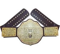Big Gold World Heavyweight Wrestling Championship Title Belt Replica, Adult Size, 6mm Thick Plates 7.7lbs Weight