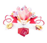 Big Hug Just For You Sending Lots Of Love Pop Up Card Suit Any Occasion POP218V16