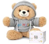 Big Hugs Teddy Bear - Gifts for Women, Men & Kids, Birthday Gift for Women, Best Friend, Mum, Wife, Girls, Sister, Girls Birthday Presents, Get Well Soon Gifts for Women, Men & Kids
