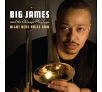 BIG JAMES AND THE CH - RIGHT HERE RIGHT NOW - CD - G1398z