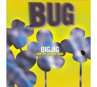 BIG JIG and the groove dept - Bug