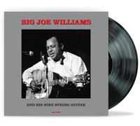 Big Joe Williams And His Nine String Guitar