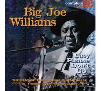 Big Joe Williams - Baby Please Don't Go