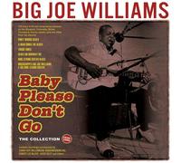 Big Joe Williams : Baby Please Don't Go: The Collection 1935-1962 CD 5 discs