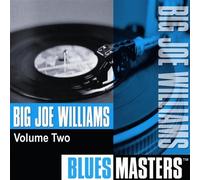 Big Joe Williams - Blues Masters