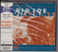 Big Joe Williams - Final Years