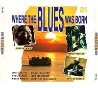 Big Joe Williams Howlin' Wolf John Lee Hooker Little Walter Muddy Waters - Einmal zu tief ins Glas schauen und diese Musik dazu hören (CD Compilation, 28 Titel, Diverse Künstler) Muddy Waters - Rollin' And Tumblin' / Howlin' Wolf - Smokestack Lightnin' / Big Joe Williams - Sinking Blues / Little Walter - My Babe / John Lee Hooker - Dimples u.a.