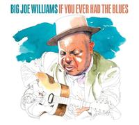 Big Joe Williams - If You Ever Had The Blues