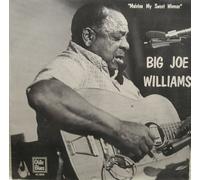 Big Joe Williams - malvina my sweet woman LP