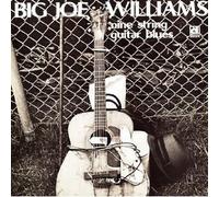 Big Joe Williams - nine-string guitar blues LP