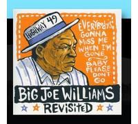 Big Joe Williams Revisited by Big Joe Williams