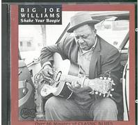Big Joe Williams - Shake Your Boogie