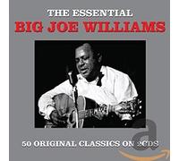 Big Joe Williams - The Essential Big Joe Williams [Double CD]