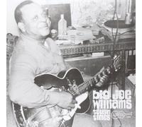 Big Joe Williams - Tough Times [VINYL]