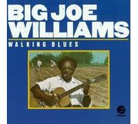 BIG JOE WILLIAMS/_WALKING BLUES by Big Joe Williams (1992-10-07)