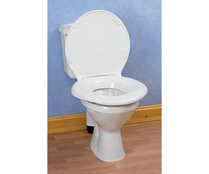Big John Bariatric Toilet Seat