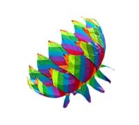 Big Kite Parafoil Huge Boys and Girls Sports 3D Kite for Beach Garden Spring rainbow color