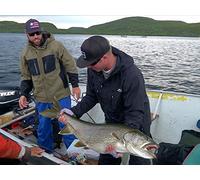 Big Lake Trout from the North