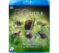 Big Little Journeys