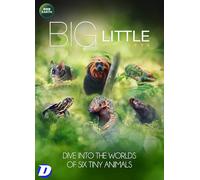 Big Little Journeys [DVD]
