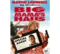 Big Momma's House [DVD] [2000]