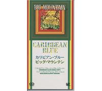 Big Mountain - Caribian Blue