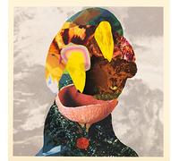 Big Mountain County - Split Ep [Vinyl LP] [VINYL]