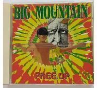Big Mountain - Free Up