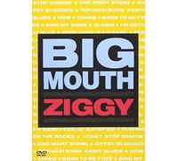 BIG MOUTH [DVD]