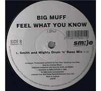 Feel What You Know [12" VINYL]