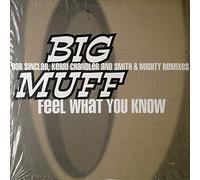 Big Muff - Feel What You Know Remix [12" VINYL]