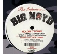 Big Noyd - Holdin It Down [VINYL]