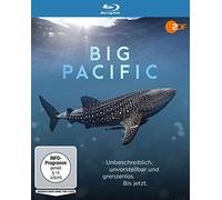 Big Pacific