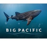 Big Pacific