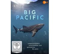 Big Pacific