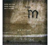 Big Picture With Mark Dresser (CD) Album (US IMPORT)