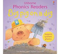 Big pig on a dig (Phonics Readers)